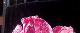 led屏為什么會流行起來？都有什么特點(diǎn)？