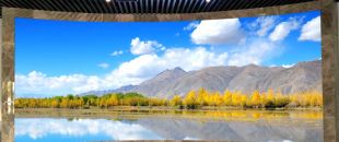 “海外客戶最關(guān)心的LED屏參數(shù):不是分辨率，而是這個..